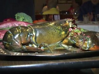 MMV-arabic-10-year-old food critic gets rave reviews