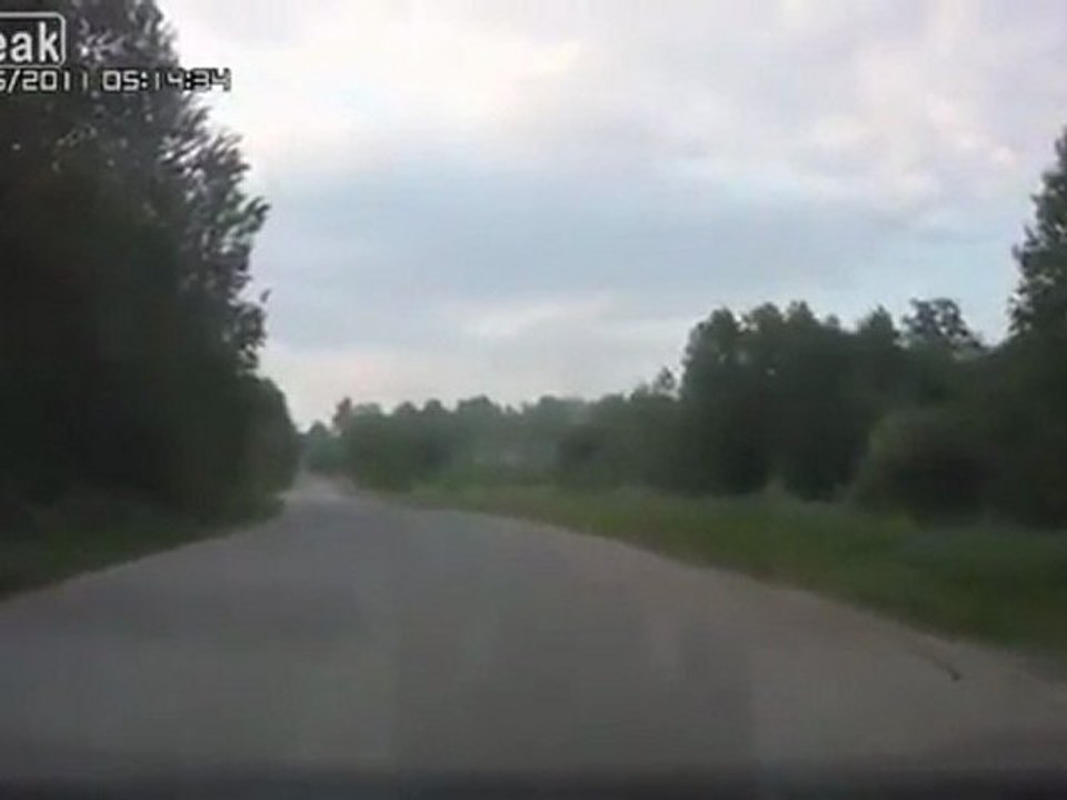 Instant Road Kill