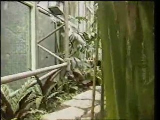 Miam Miam Miam_JAubert