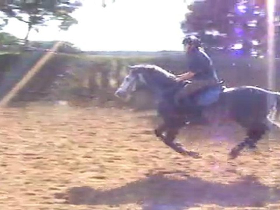 sendawar 11 juin 2011-2