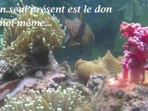 JE T'OFFRE film-paroles-poème de R-France GHARBI-BOURDARIE