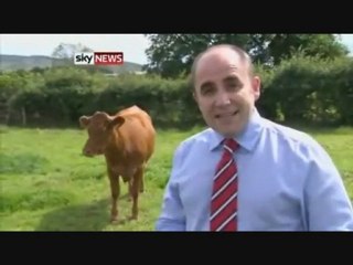 CLEVER COW SOUTH ARMAGH ESCAPES FARM BARN
