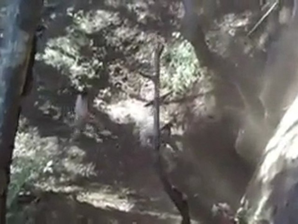 Vertical Limit Fail