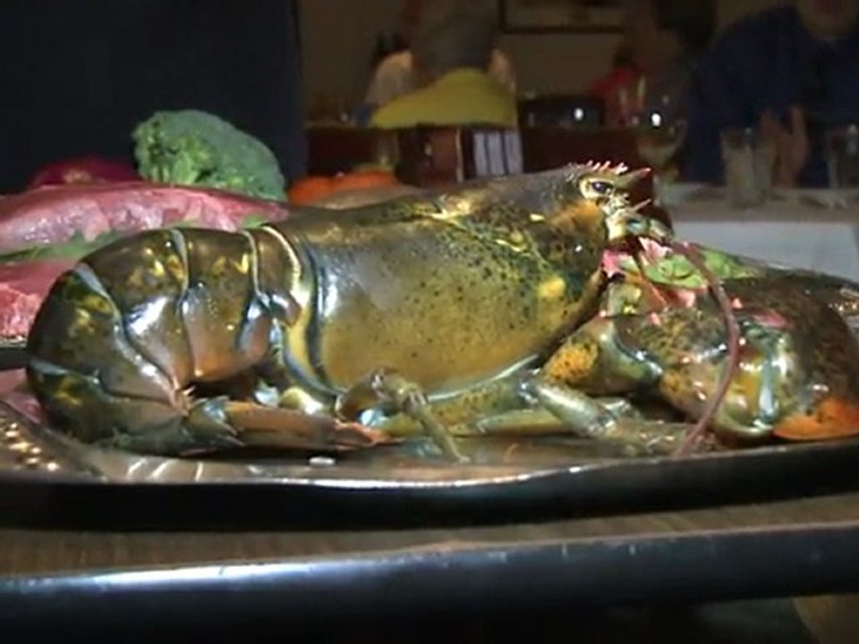 Der burger-blogger: zehnjähriger schreibt restaurantkritiken