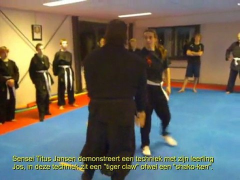 Secret Tiger Claw Sensei Titus Jansen : Koga Ryu Ninjutsu Groningen