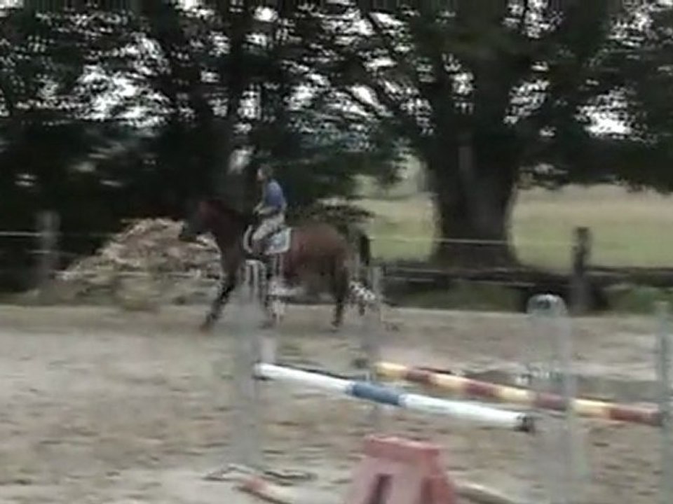 Chenao Fly Ly Z