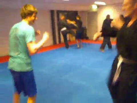 Vechtsport en Sparren: Koga Ryu Ninjutsu door Sensei Titus Mathijn Jansen