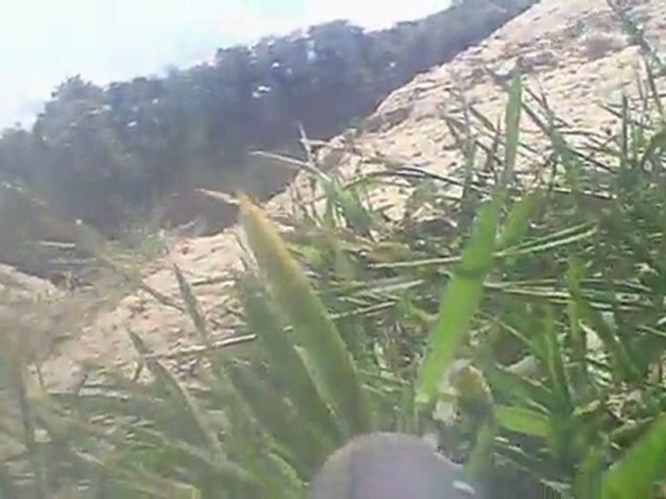 Paintball - FDP Débarquement Défense