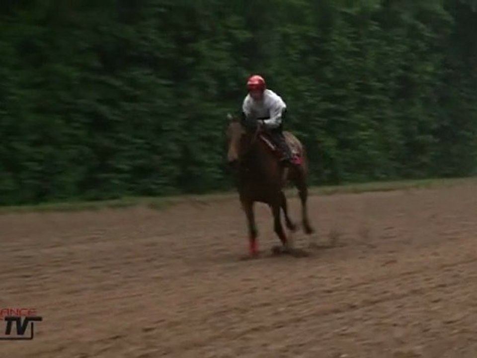 Un matin à l'entrainement avec la Reine Goldikova chez Freddy Head
