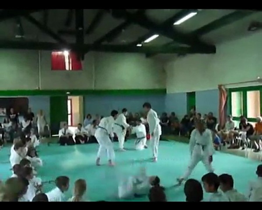 Club Aïkido Gigean/Sète démonstration juin 2011