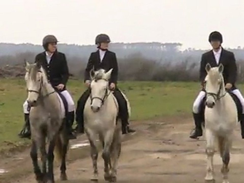 2011-03 Concours dressage l'arrivée
