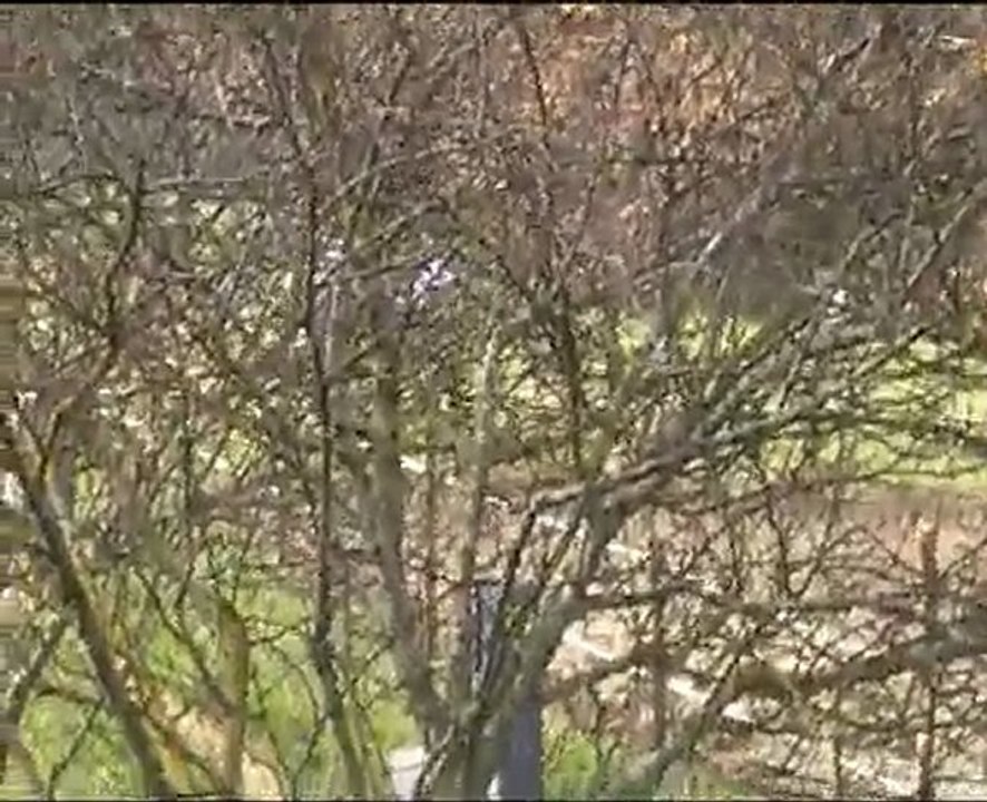 2011-03 Concours dressage Marco et Rachel