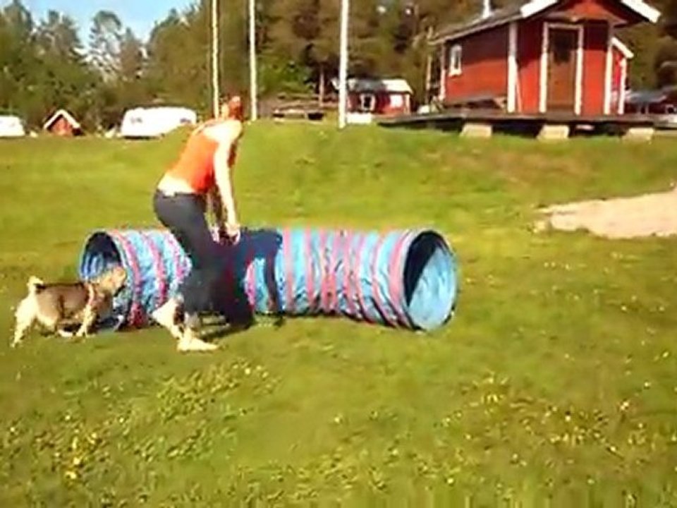 hinderträning 4, 17/5