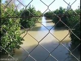 Viviendas y calles de Tocina inundadas