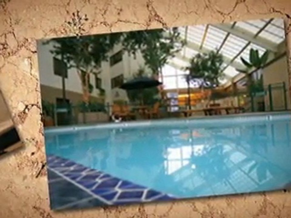 Pet Friendly Hotel Texas