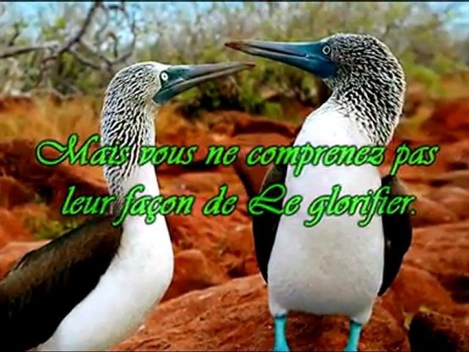 La Création d'Allah Ep.5 mediter