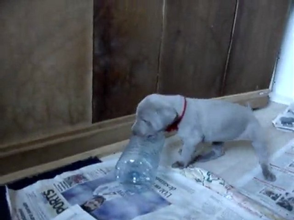 MOV09695Les canailles de Chrystalle & Uhrion