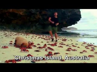 APAÇİ / MEHMET DEMİRTAŞ