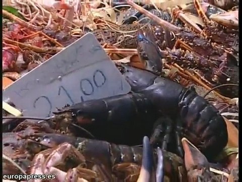 Últimas compras en el mercado de La Boquería