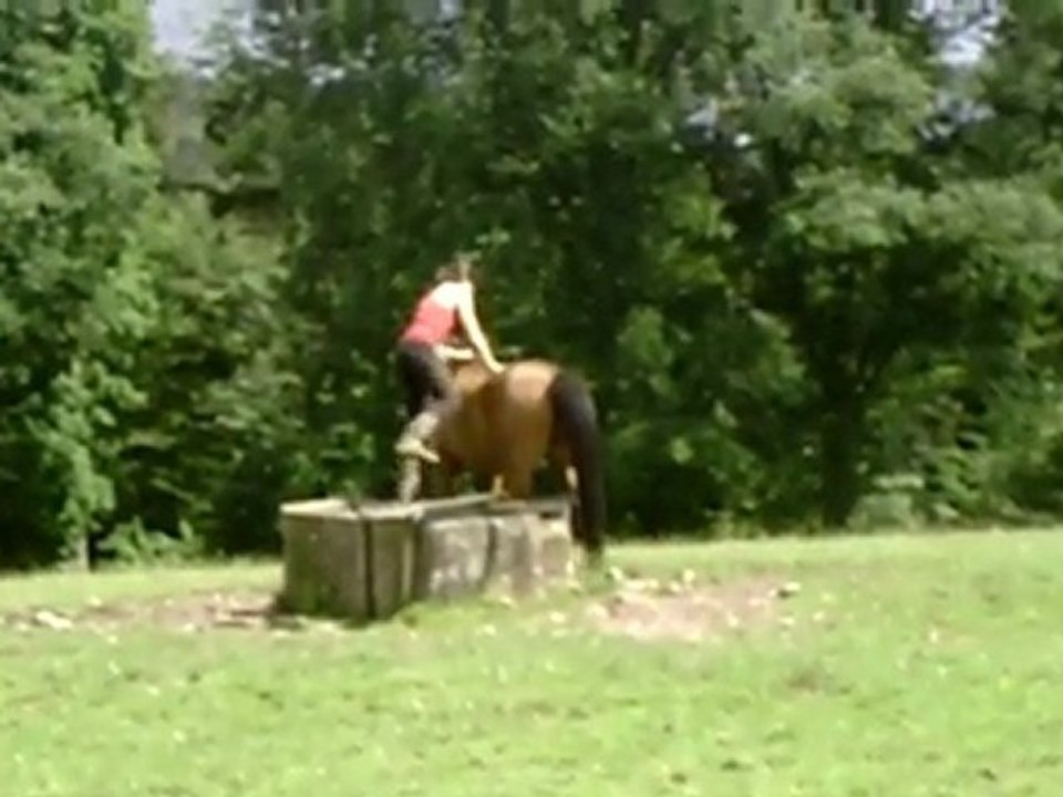CLIP0028