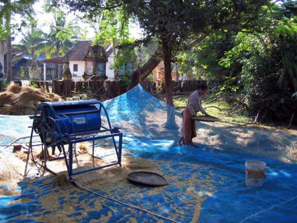 Rizières en bleu LAOS