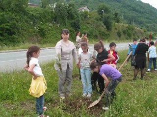 CANDAN Koleji 1-A Sınıfı HATIRA ORMANINDA