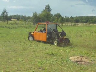 buggy