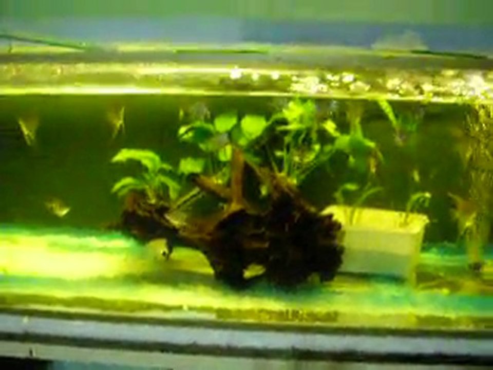 P1010081