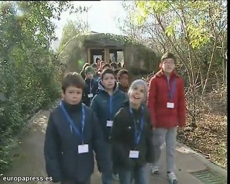 Faunia prepara campamento para niños