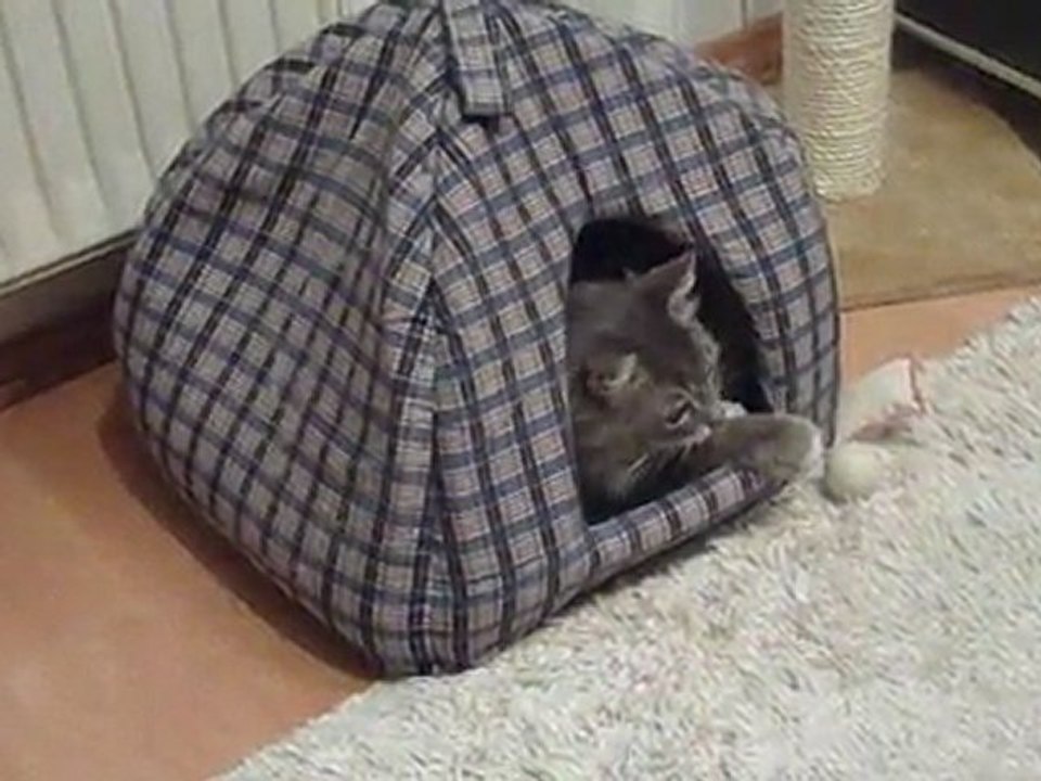 Juri tobt. Was rappelt in der Kiste...