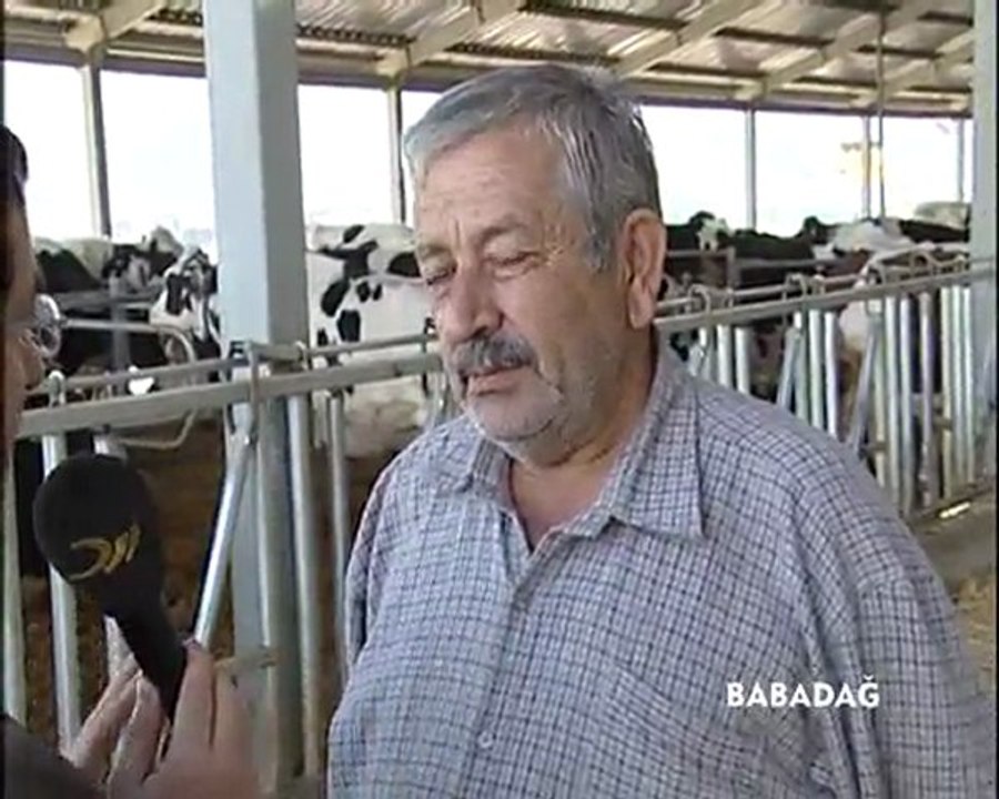 KÖFTECİ ALİ USTA