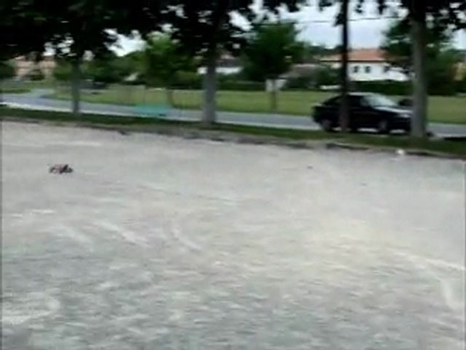 Buggy radio commander, une vrai Bombe !!!