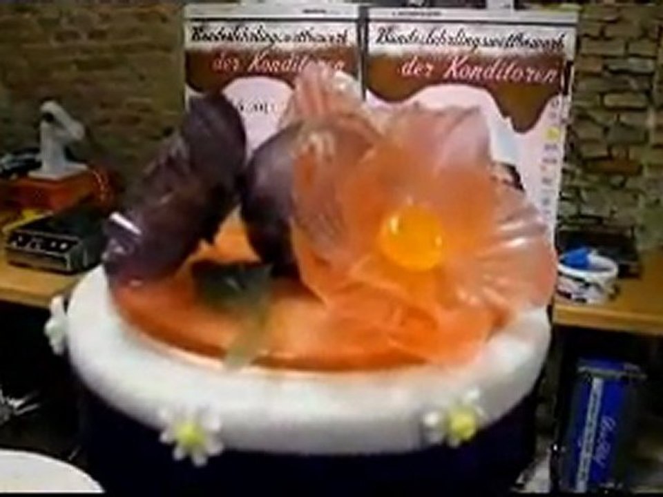 Konditoren - Bundeslehrlingswettbewerb 2011 - Rohfassung