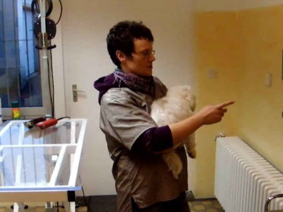 Der Hundesalon Hameln Dog Style