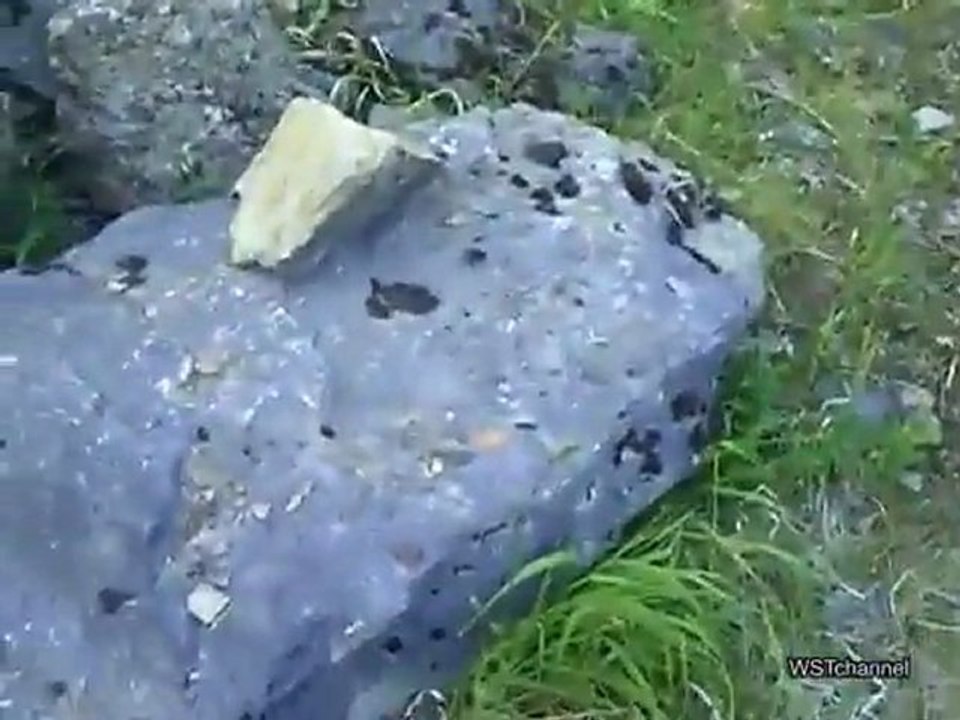 Silberfulminat - Silver fulminate