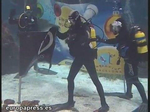 Jorge Lorenzo felicita las fiestas