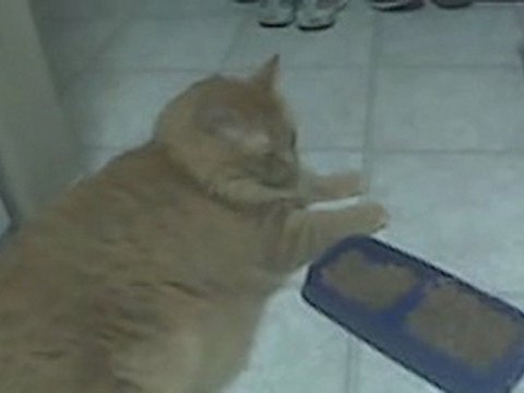VID 00008