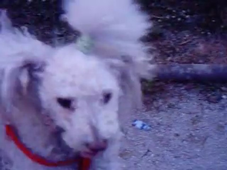 FANNY MAI 2011
