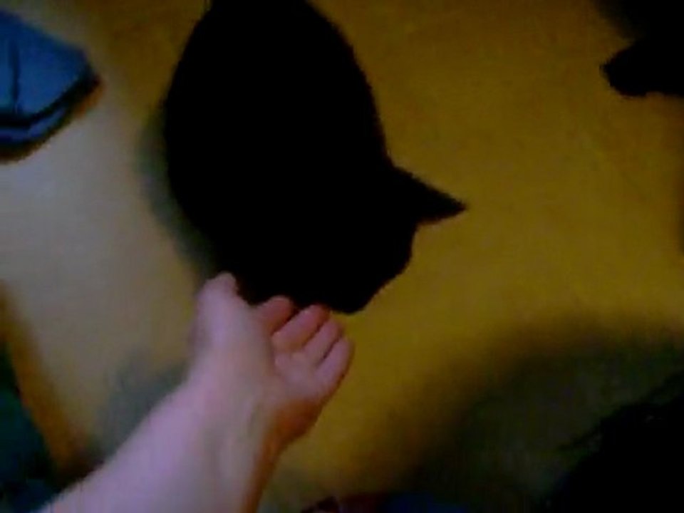 Vidéo Sophie 19 06 2011