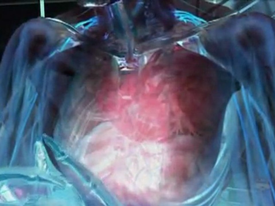 Science du combat - Les Forces speciales - Part 1