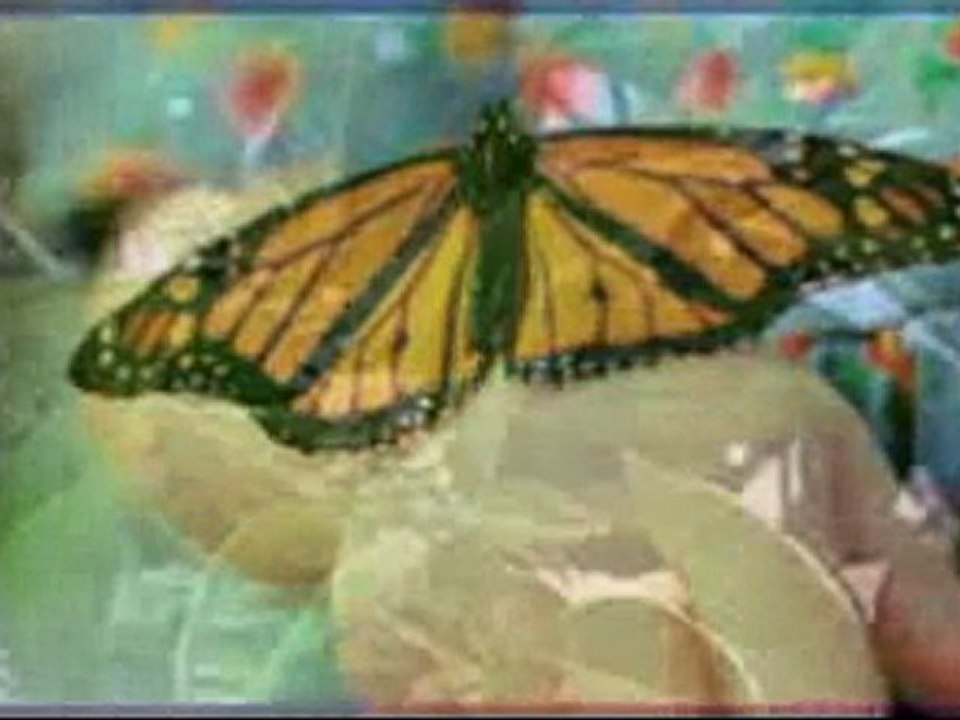 İclal Aydın - Uçak Babama Selam Söyle 2010 Klip - bymadak.com