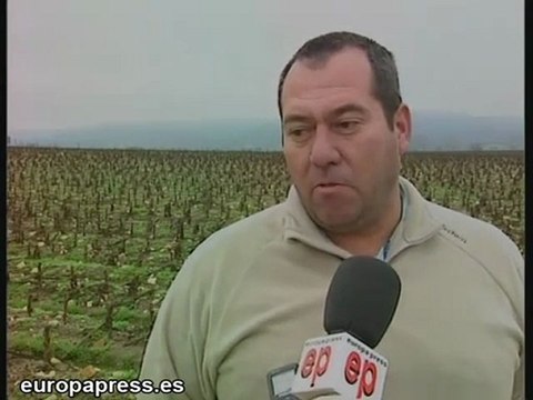 Productores de tabaco prevén efectos de la ley