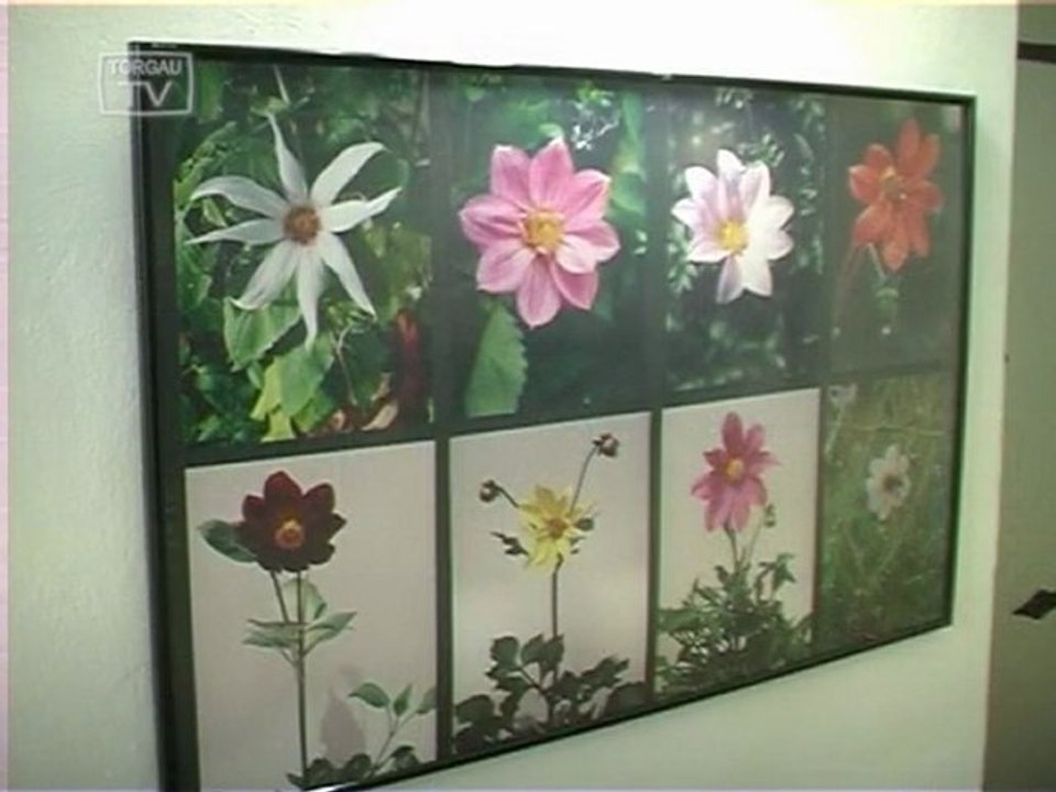 Ausstellung - Geschichte des Gartenbaus