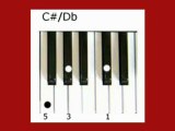 How To Play Keyboard Chords | F#/Gb Chord | C#/Db Chord | Ab Chord