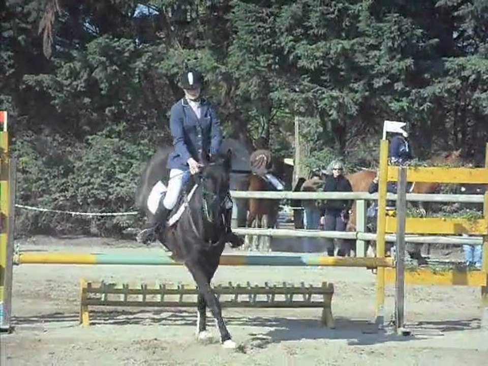 Panthère Noire ; Planete Poney.