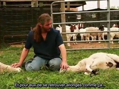 La Miséricorde de L'Abattage islamique !