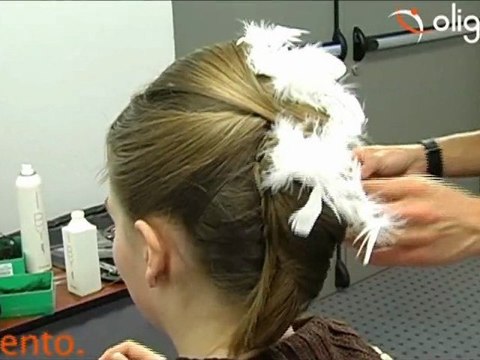Corso di Acconciatura (video n.1) - oligenesi.it