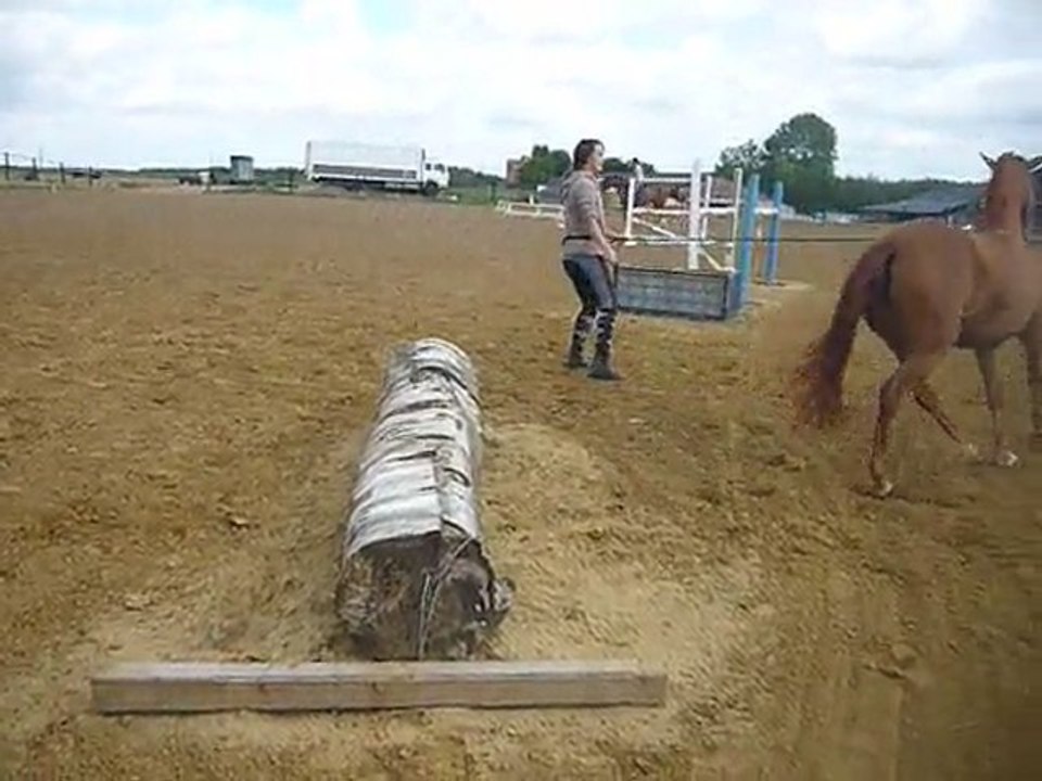 ma cherie saut un trons d abre !!!!!!