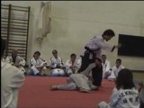 3 P Seminário Hapkido