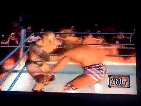 Survivor Series ~ World Heavyweight Championship ~ Inferno Match ~ Lex Luger vs Batista